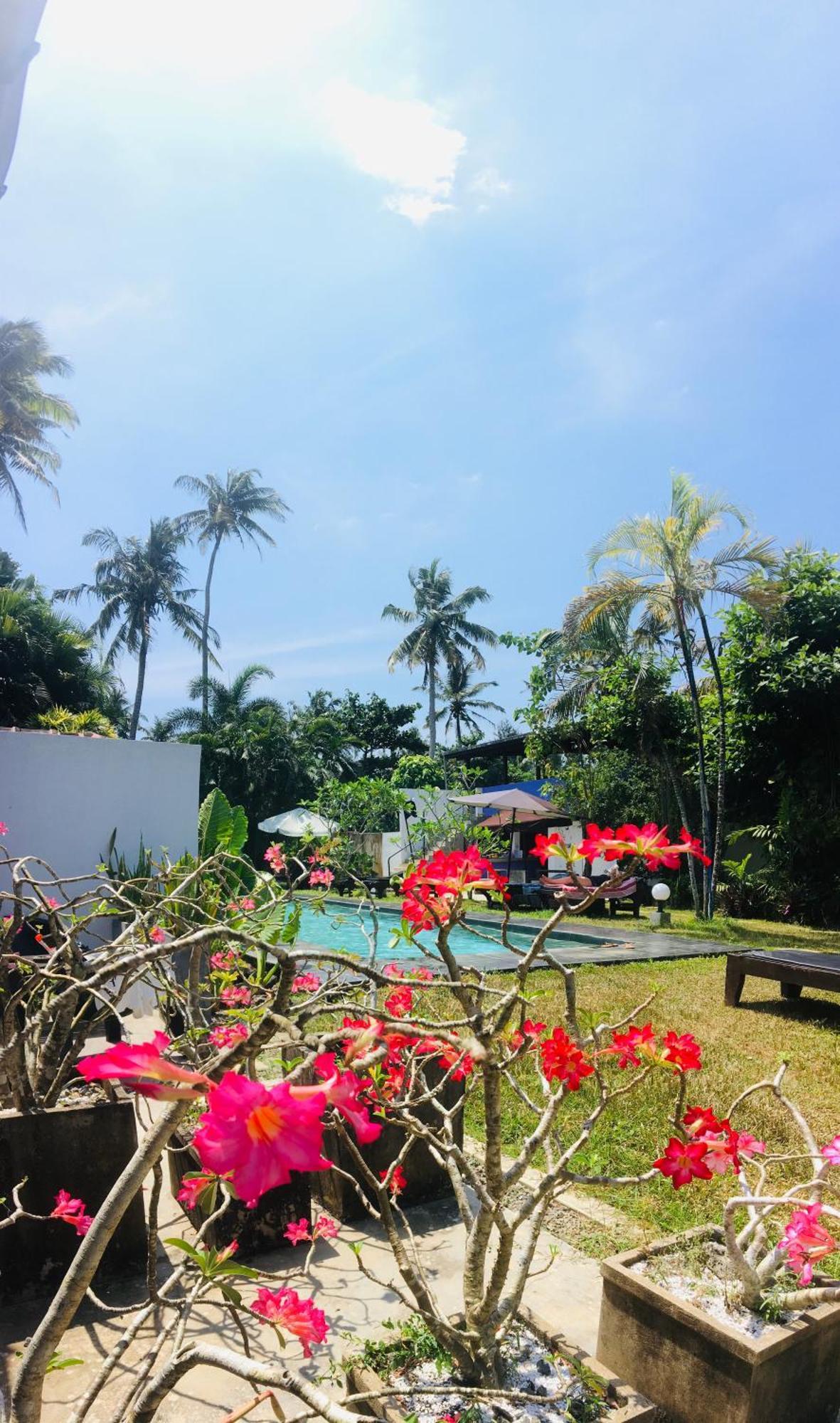 Turtle Eco Beach มาตารา ภายนอก รูปภาพ