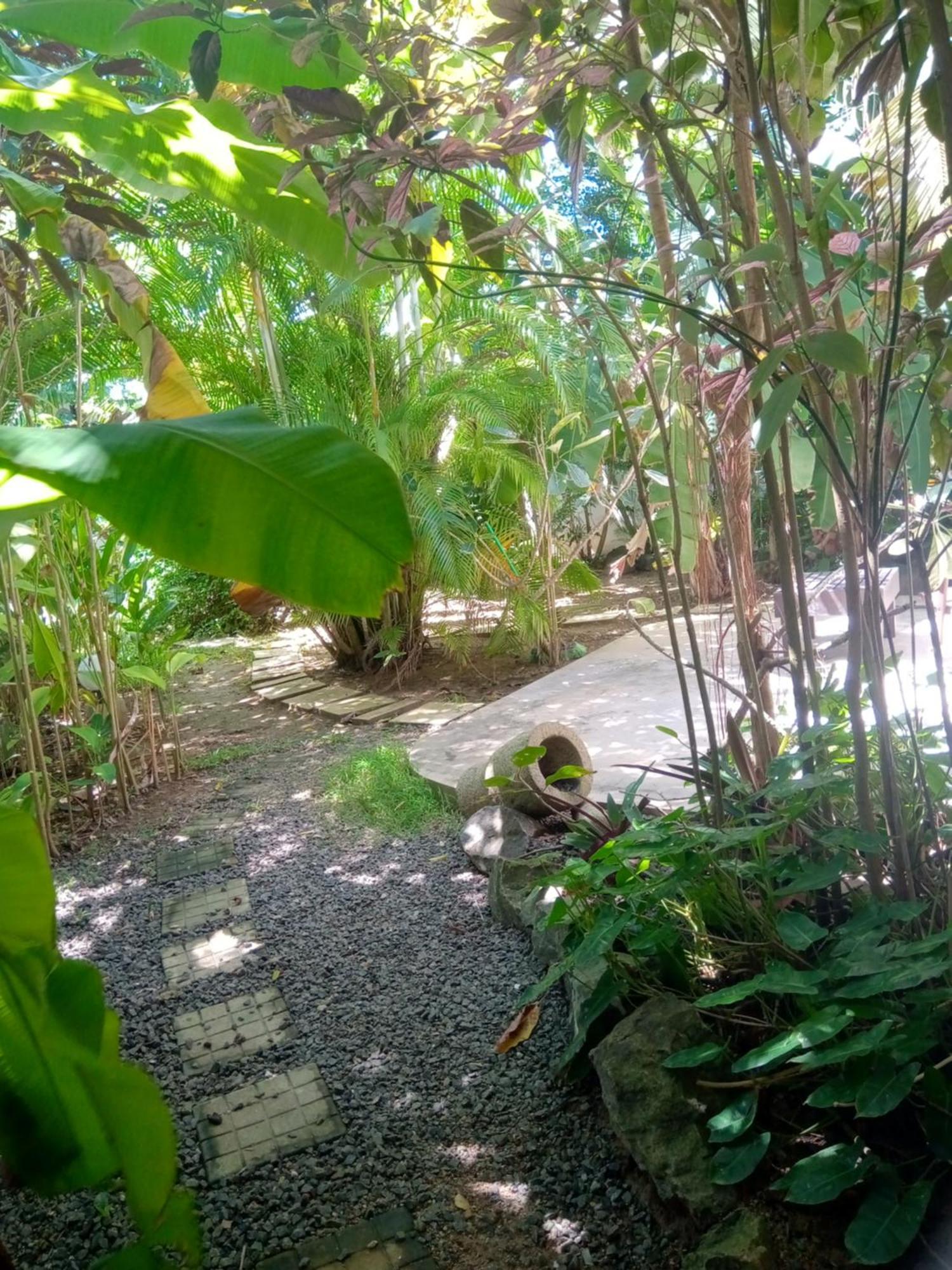 Turtle Eco Beach มาตารา ภายนอก รูปภาพ