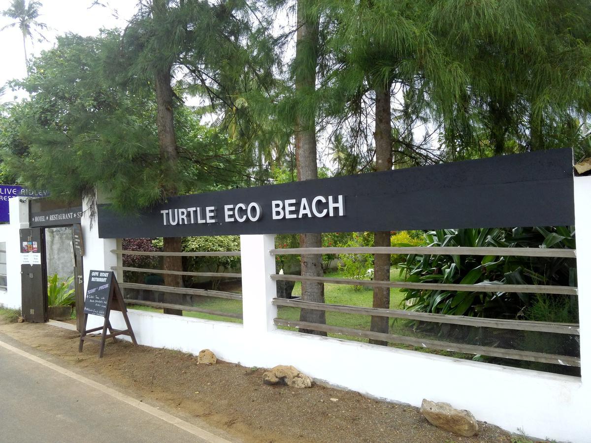Turtle Eco Beach มาตารา ภายนอก รูปภาพ