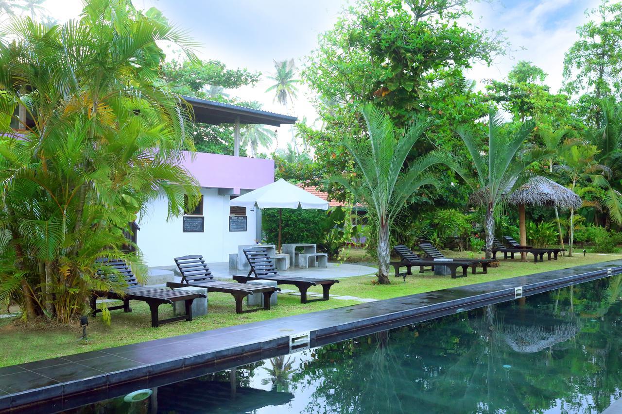Turtle Eco Beach มาตารา ภายนอก รูปภาพ