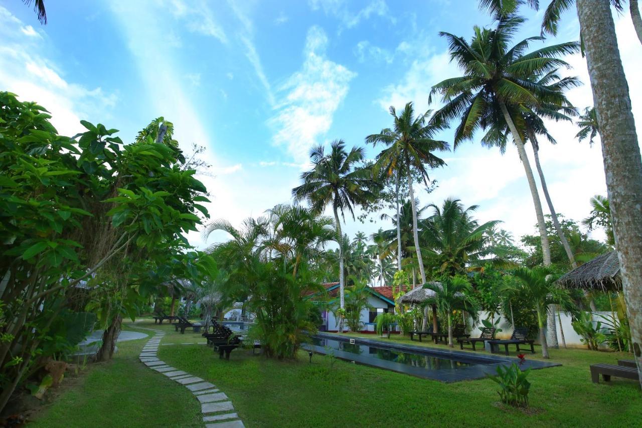 Turtle Eco Beach มาตารา ภายนอก รูปภาพ