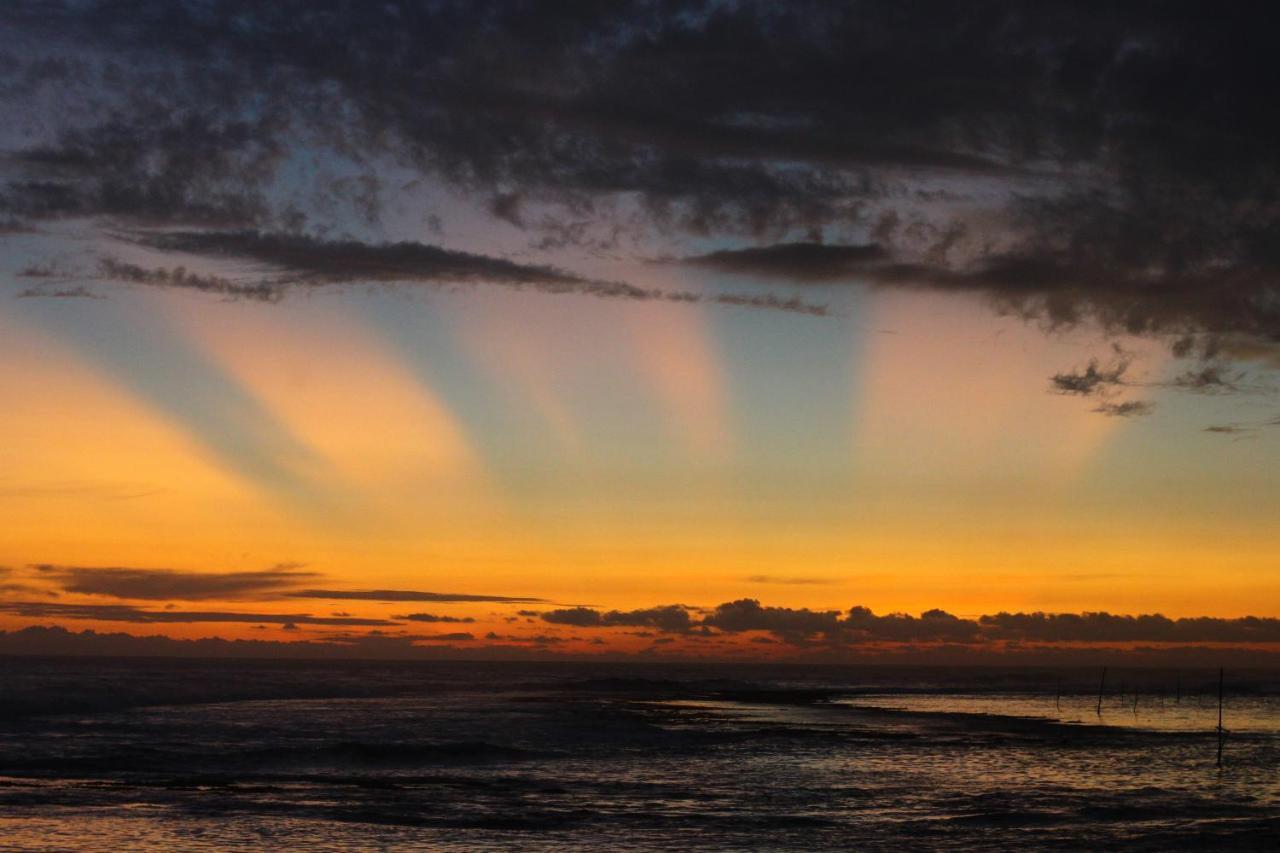 Turtle Eco Beach มาตารา ภายนอก รูปภาพ
